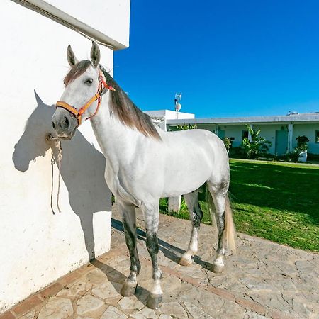 Apartamento Casa Rural Con Terraza Privada III Tarifa Exterior foto